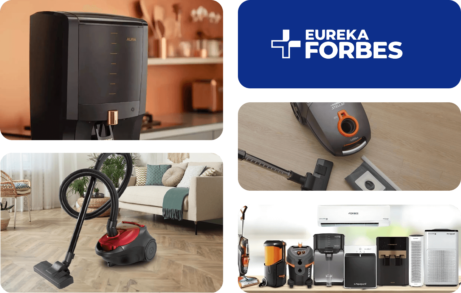 eurekaphorbes